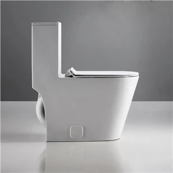 Power Flush toilet