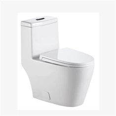 Standaard dubbele spoeltoilet